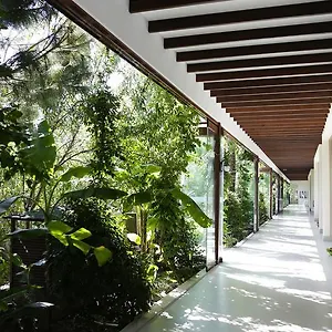 *** Hotel The Lifeco Bodrum Well-being Detox Center&vegan Türkei
